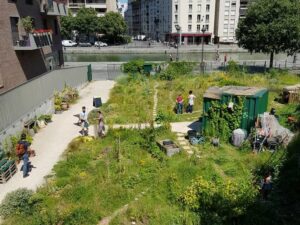 photo du jardin Partagé d'Espace 19, une petite campagne urbaine à Paris